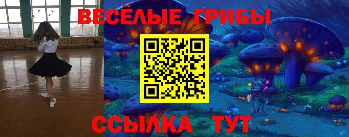 Галлюциногенные грибы Psilocybe  Вход с VPN  Биробиджан 