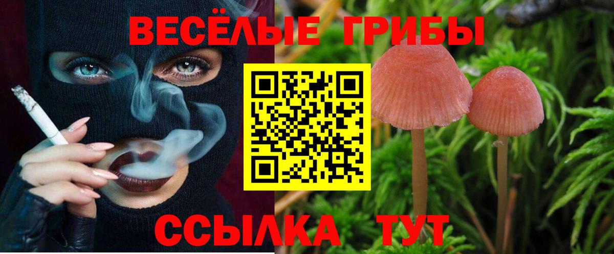 Галлюциногенные грибы MAGIC MUSHROOMS Биробиджан